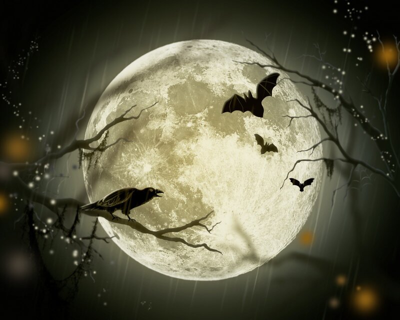 Halloween night with moon and bats