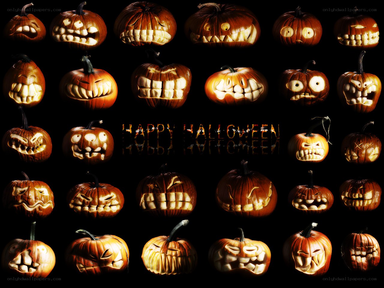 Halloween pumpkin collection