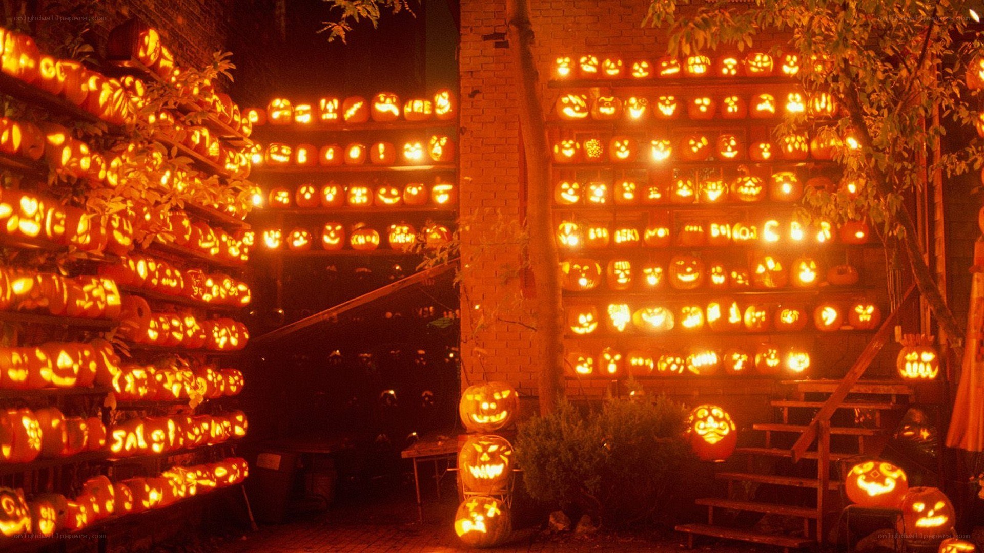 Halloween pumpkin display