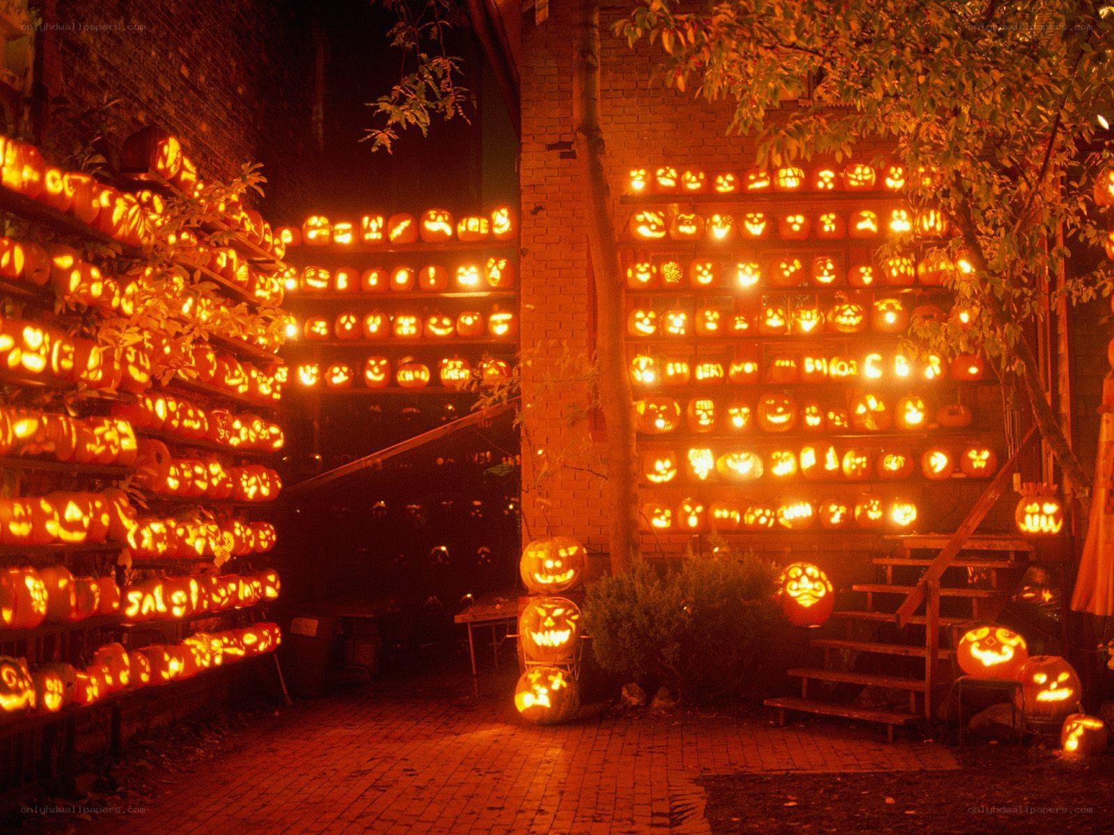 Halloween pumpkin display