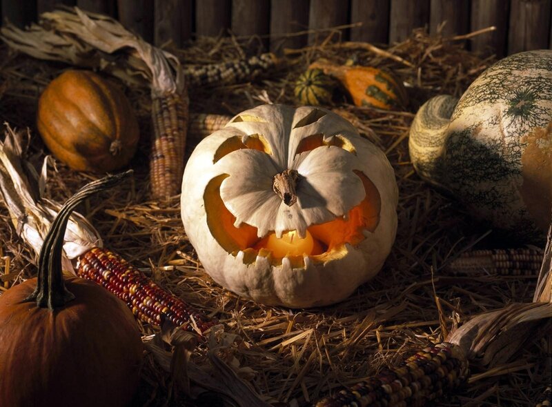 Halloween pumpkin on hay