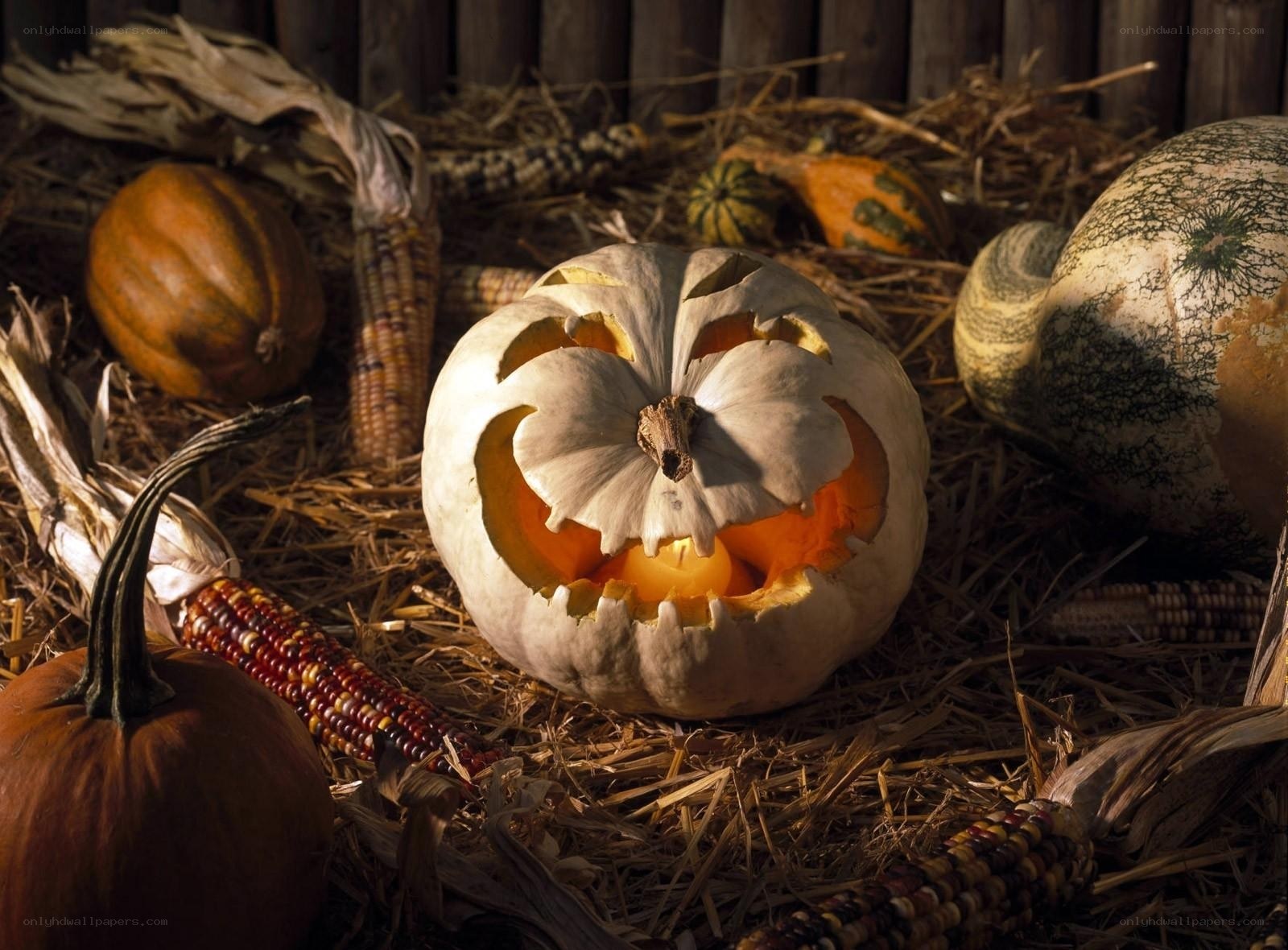 Halloween pumpkin on hay