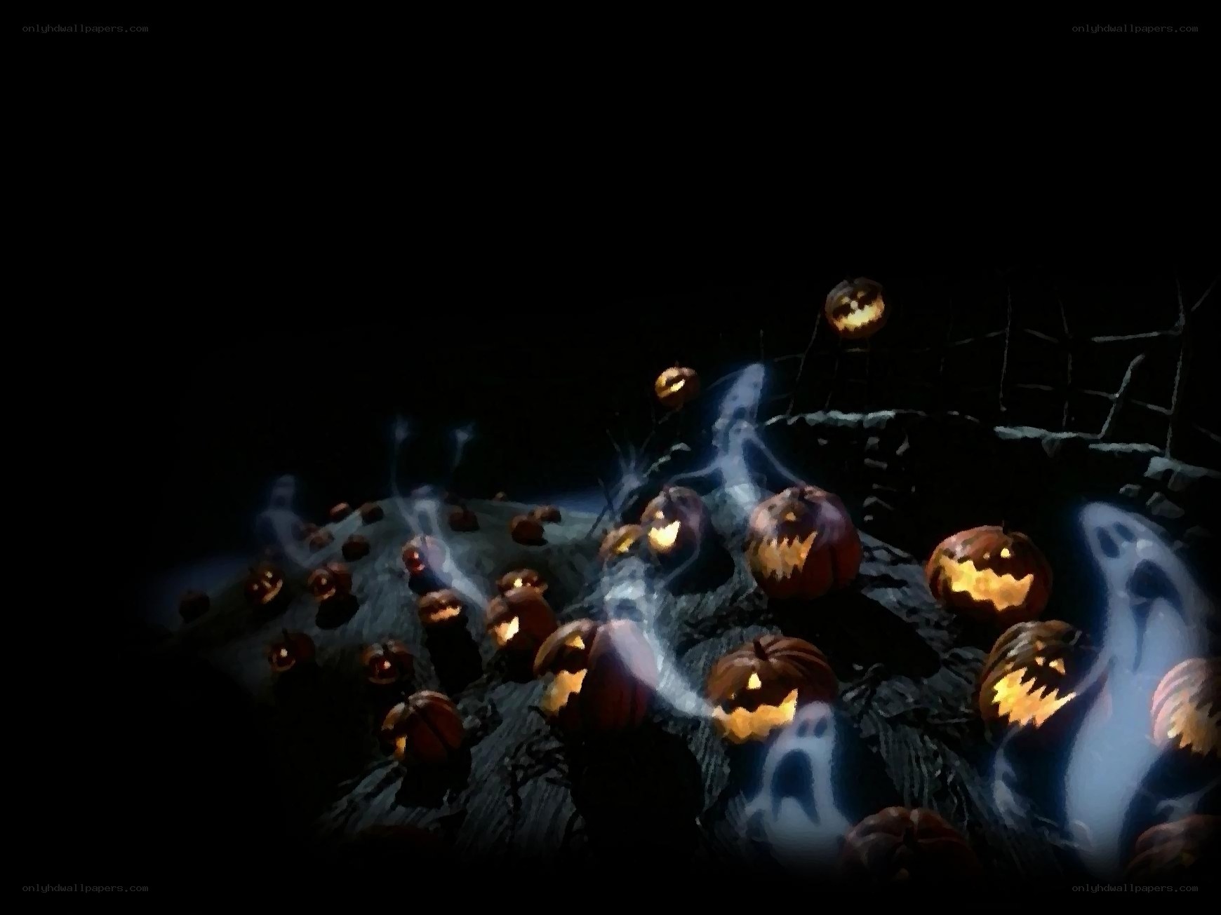 Halloween pumpkin patch