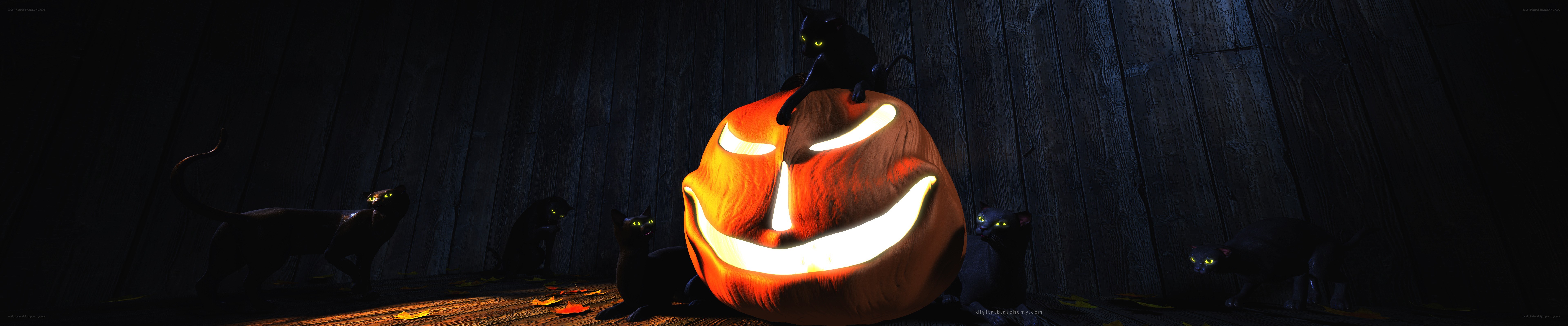 Halloween pumpkin with black cats