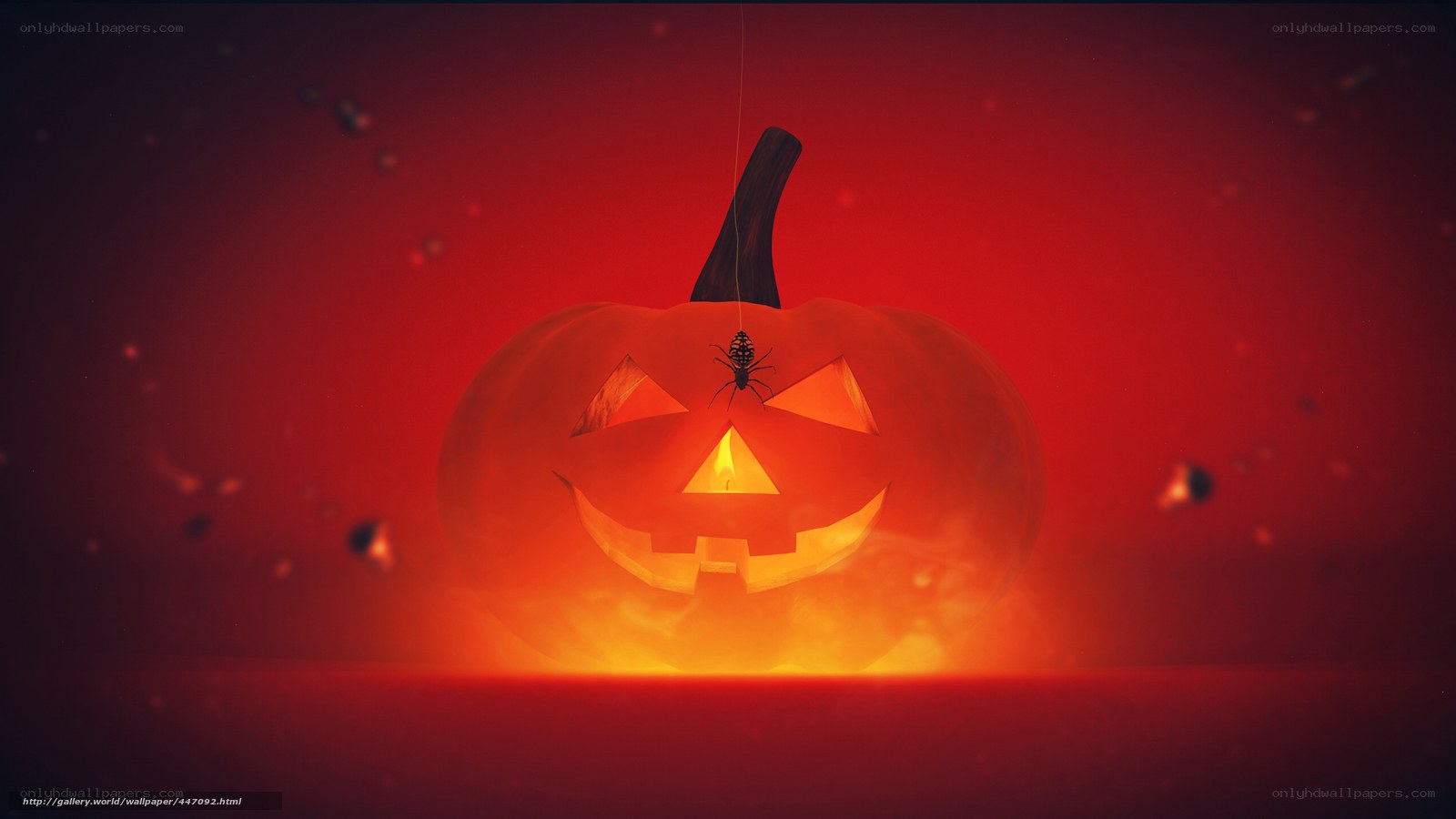 Halloween pumpkin with spider