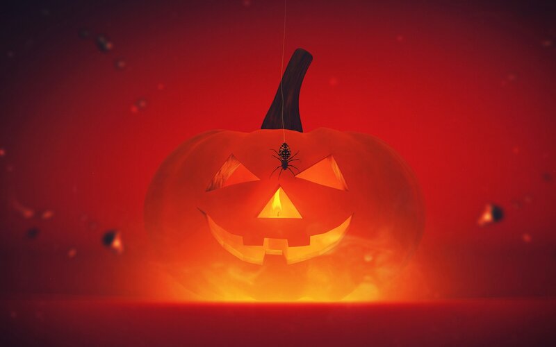 Halloween pumpkin with spider