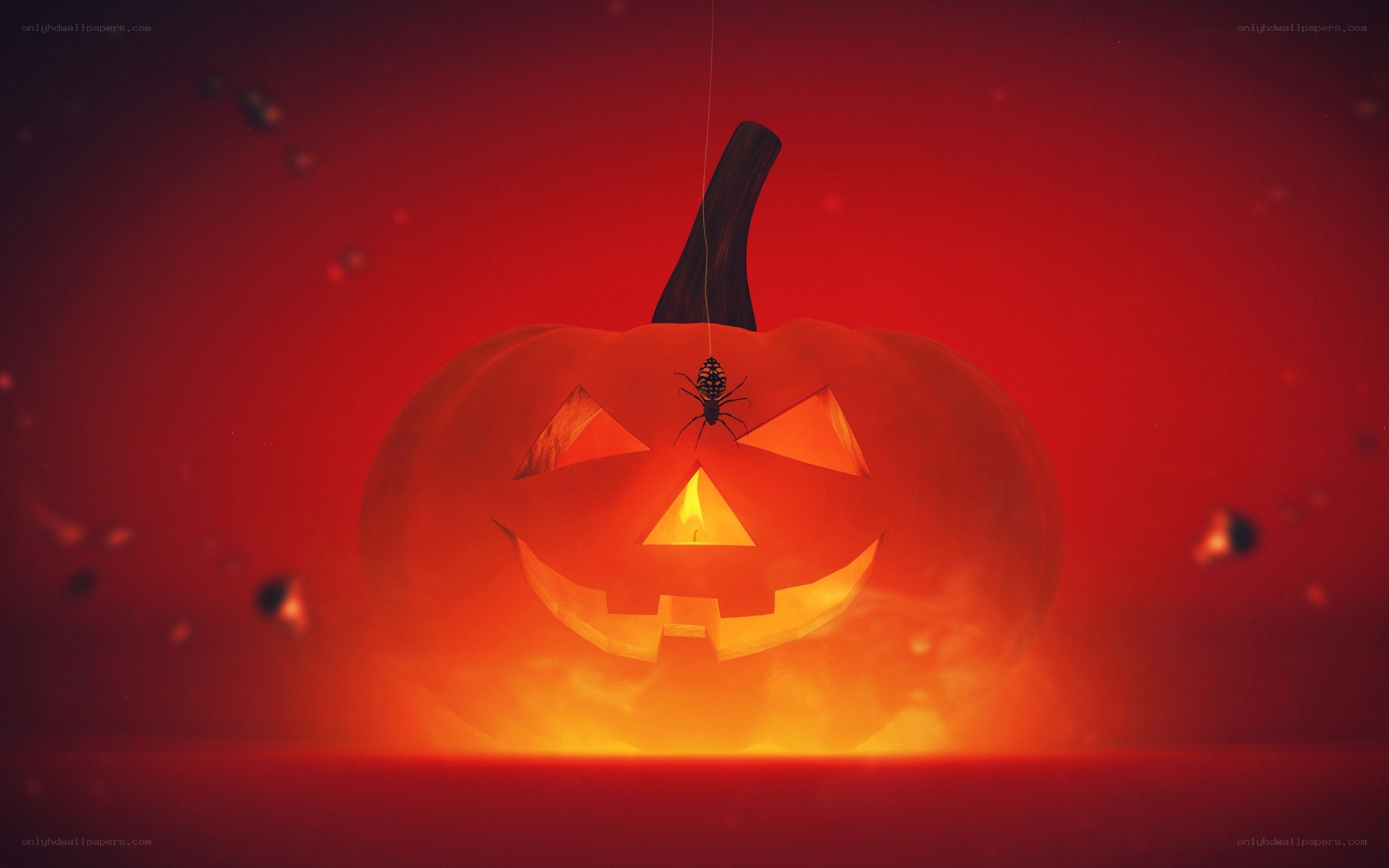 Halloween pumpkin with spider