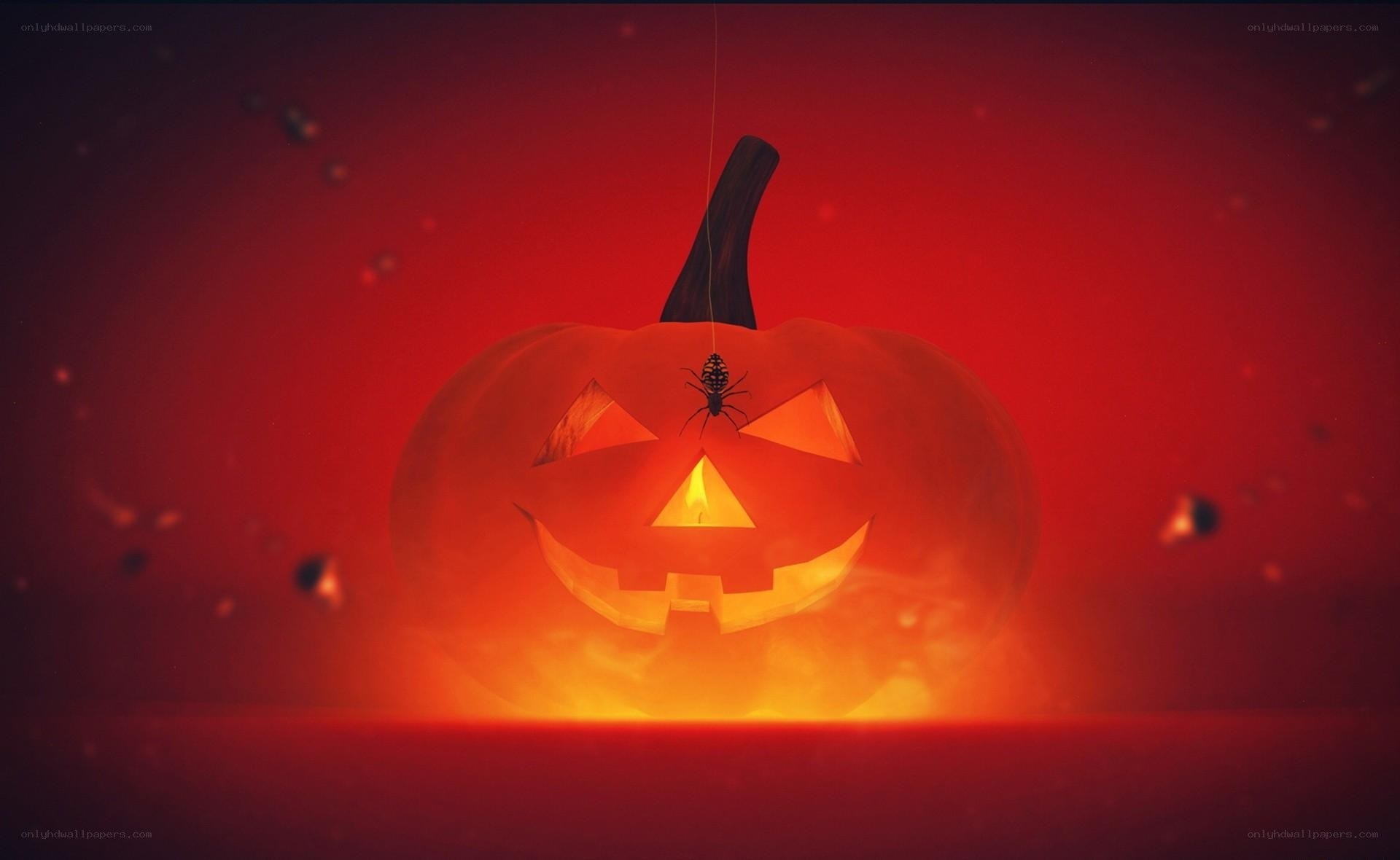 Halloween pumpkin with spider