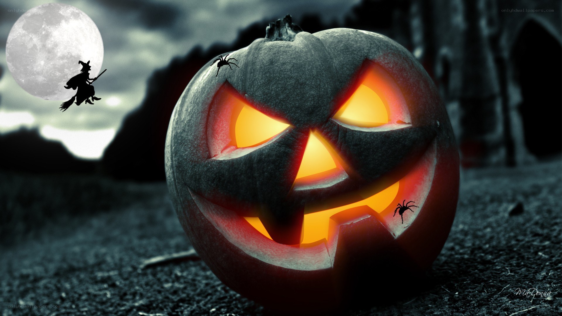 Halloween pumpkin with witch