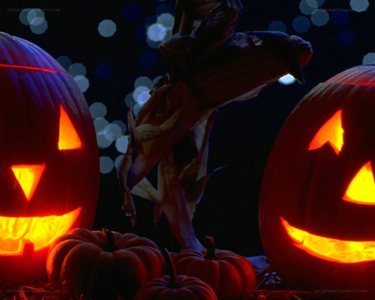 Halloween pumpkins at night