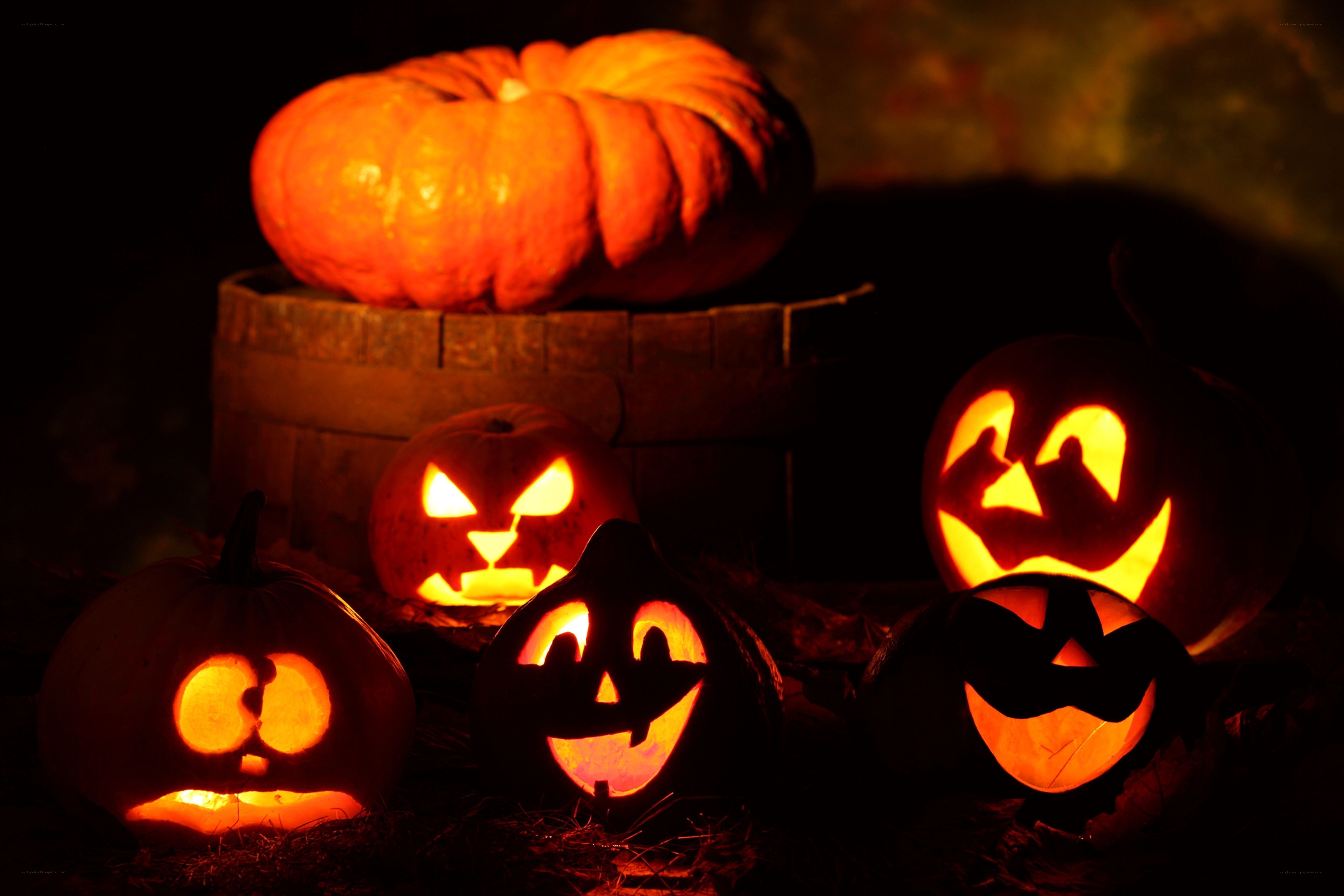Halloween pumpkins at night