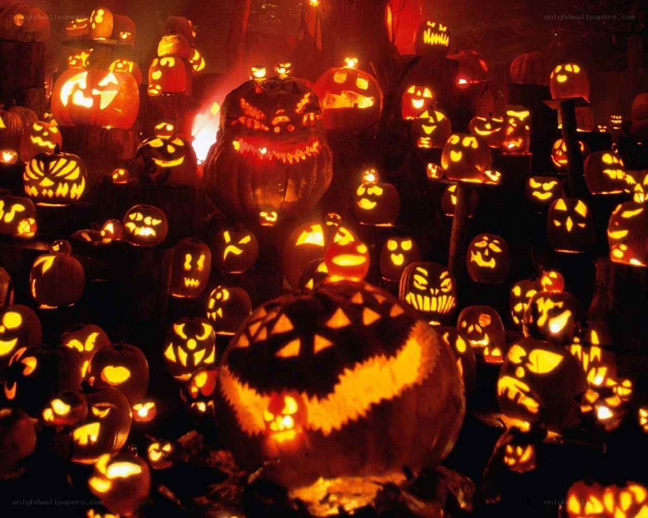 Halloween pumpkins display