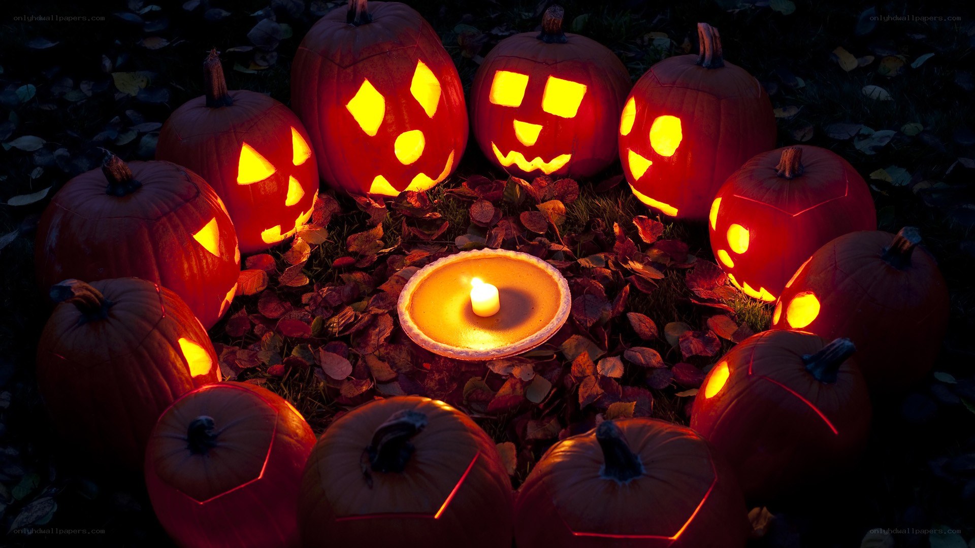 Halloween pumpkins in circle
