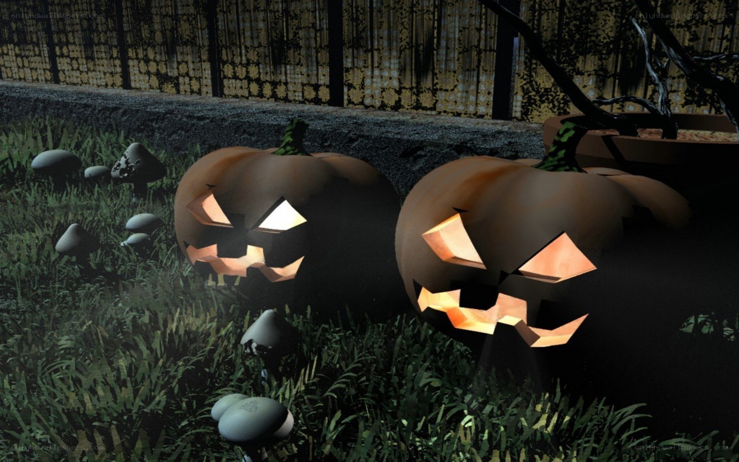Halloween pumpkins in garden