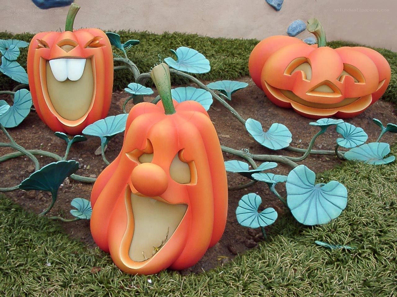 Halloween pumpkins in garden