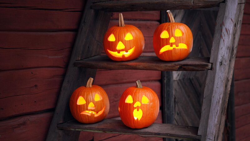 Halloween pumpkins on ladder