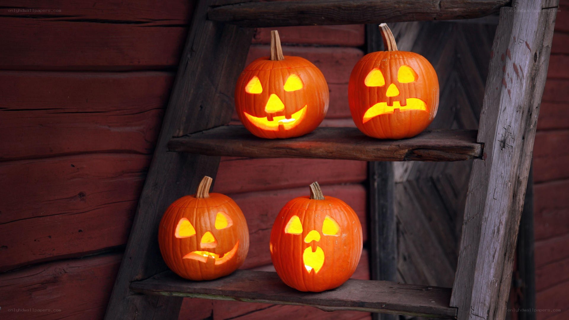Halloween pumpkins on ladder
