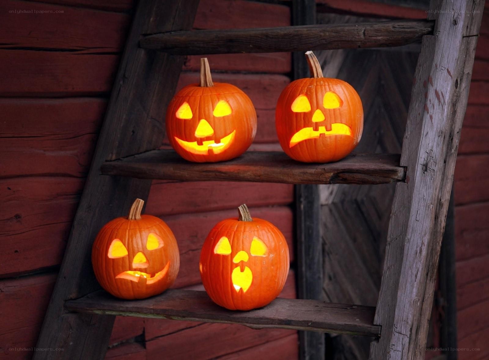 Halloween pumpkins on ladder