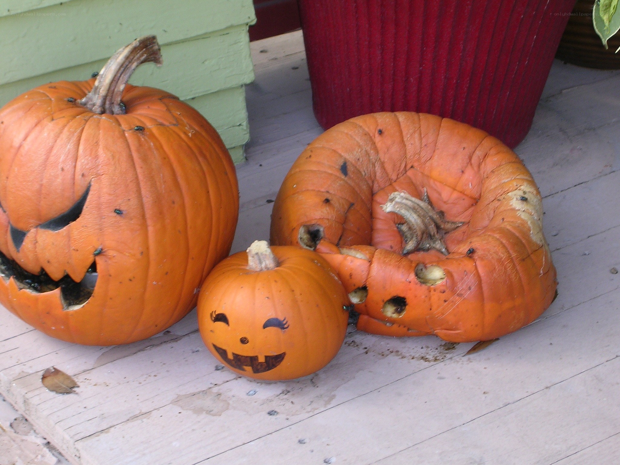 Halloween pumpkins on porch