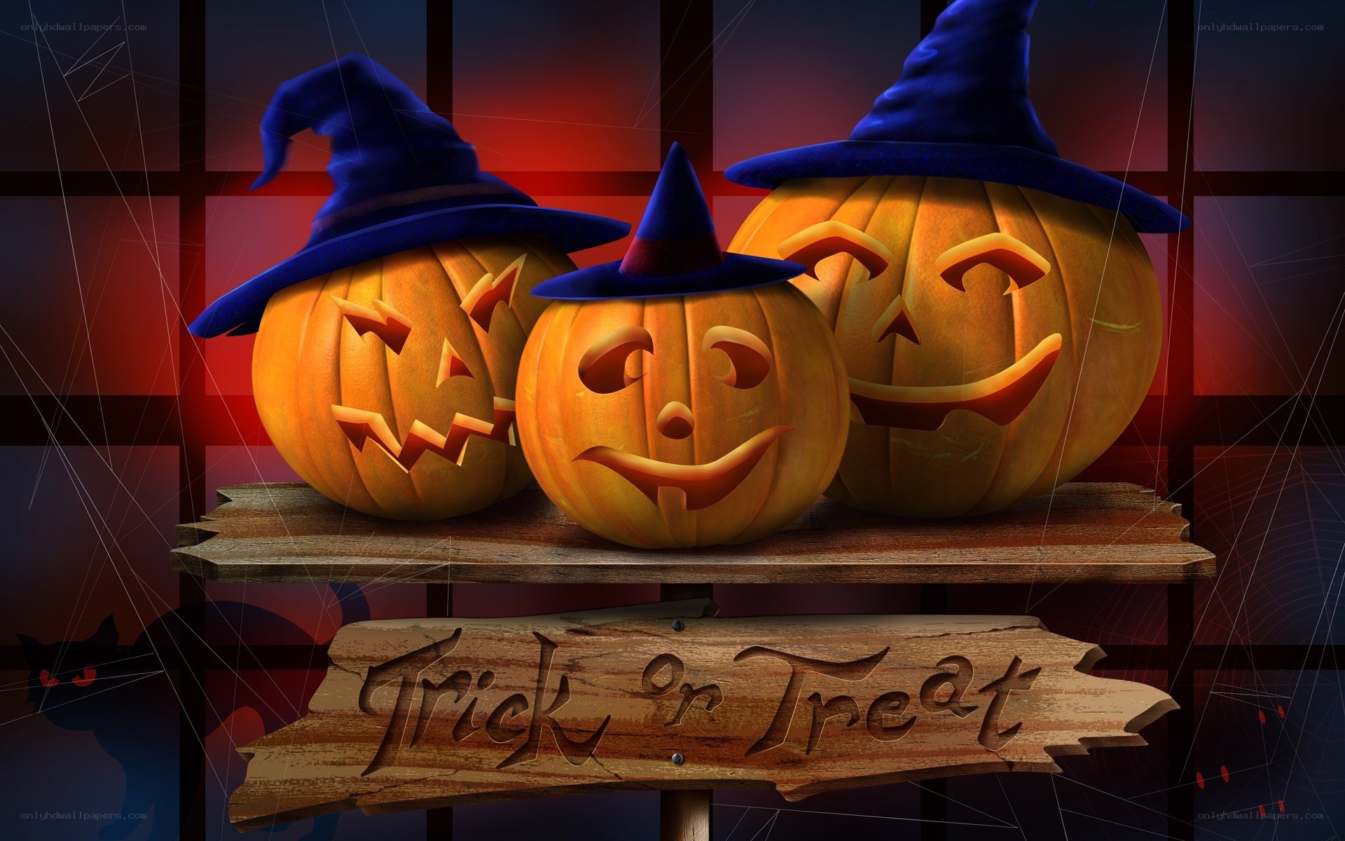 Halloween pumpkins with witch hats