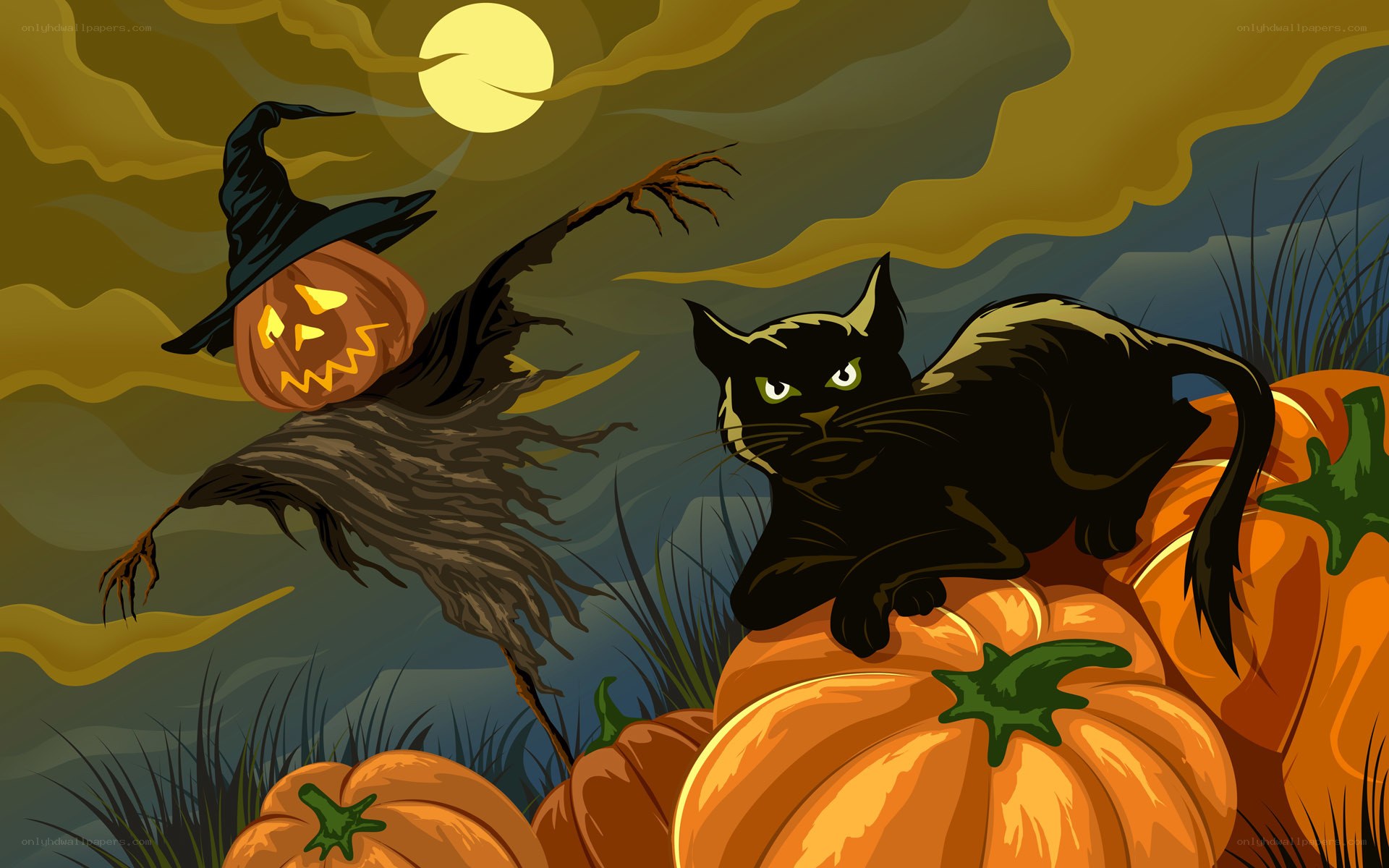 Halloween scarecrow and black cat