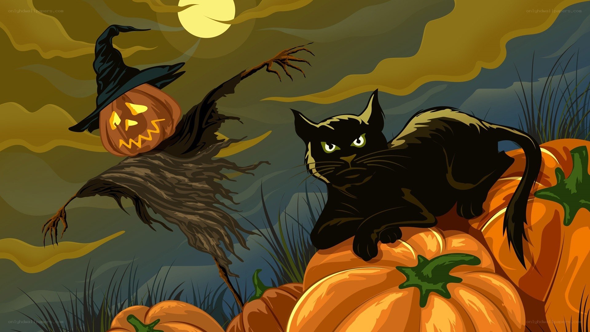 Halloween scarecrow and black cat