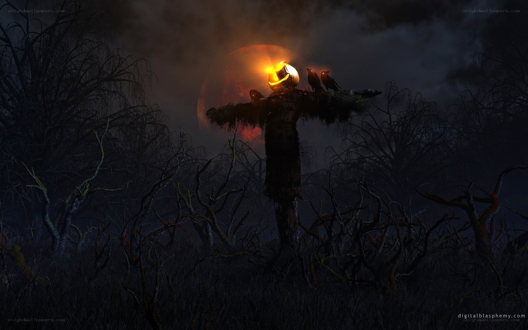 Halloween scarecrow at night