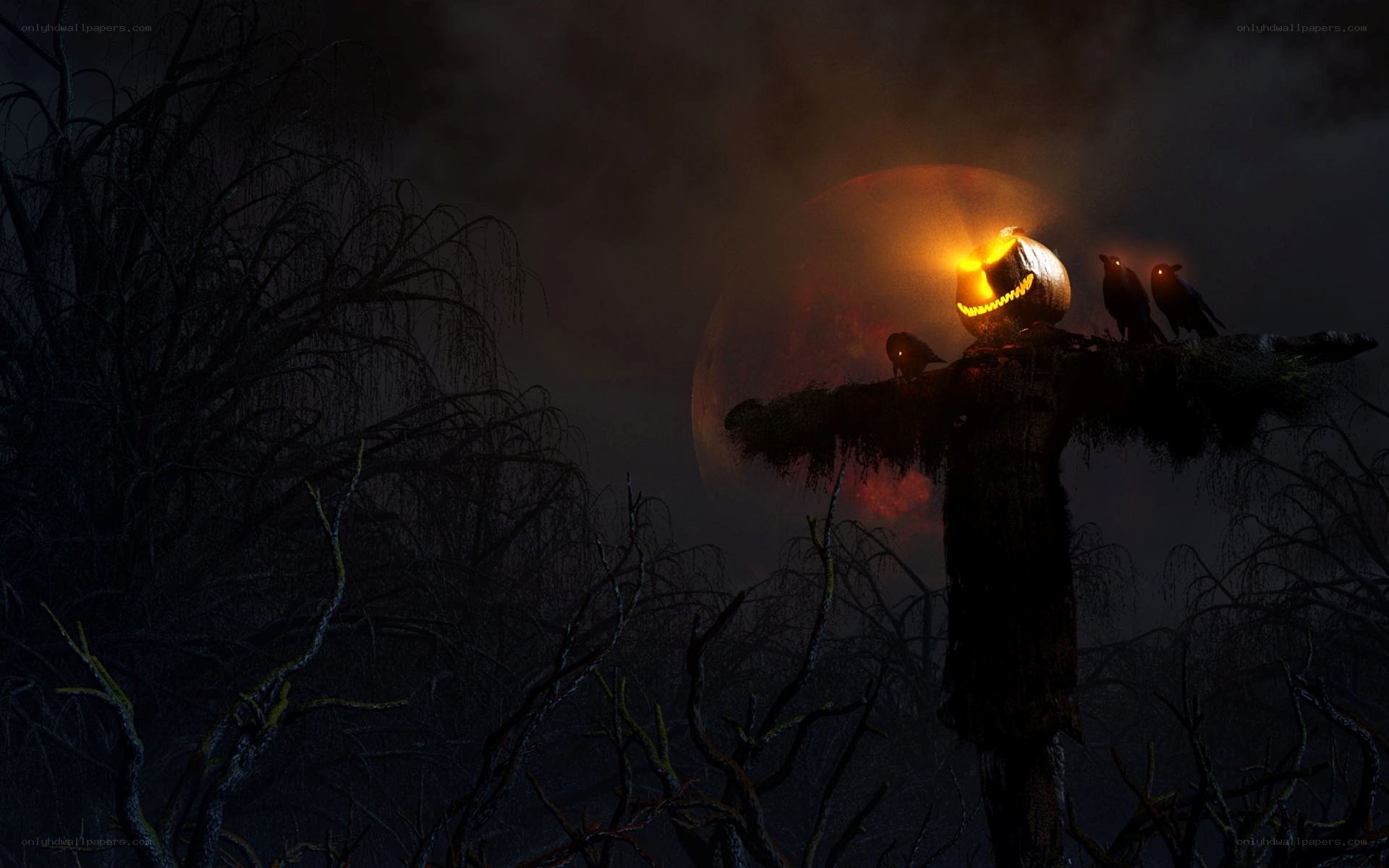 Halloween scarecrow at night