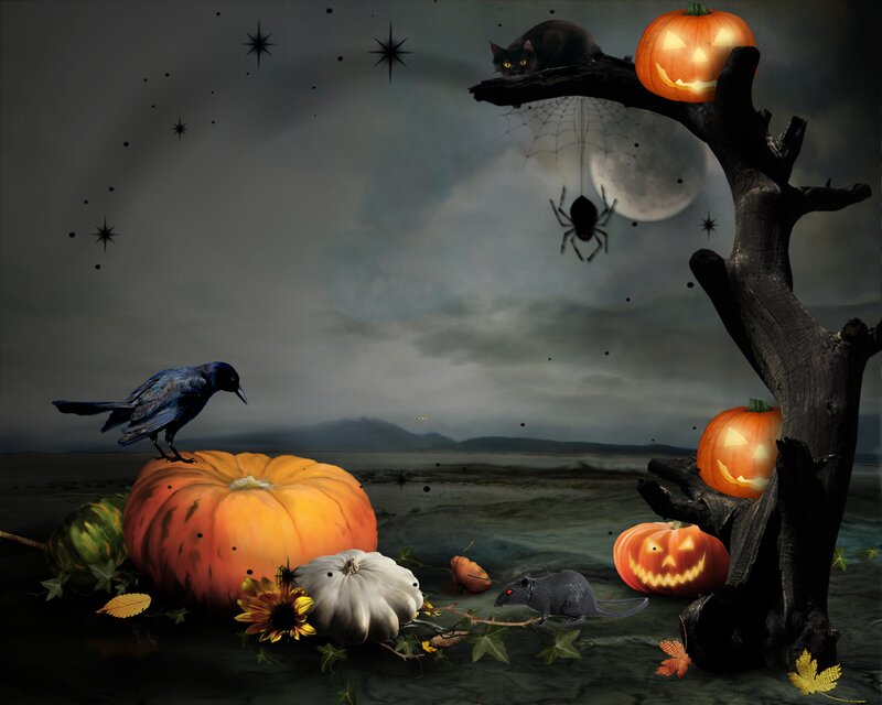 Halloween Scene with Pumpkins — Orange, Creepy