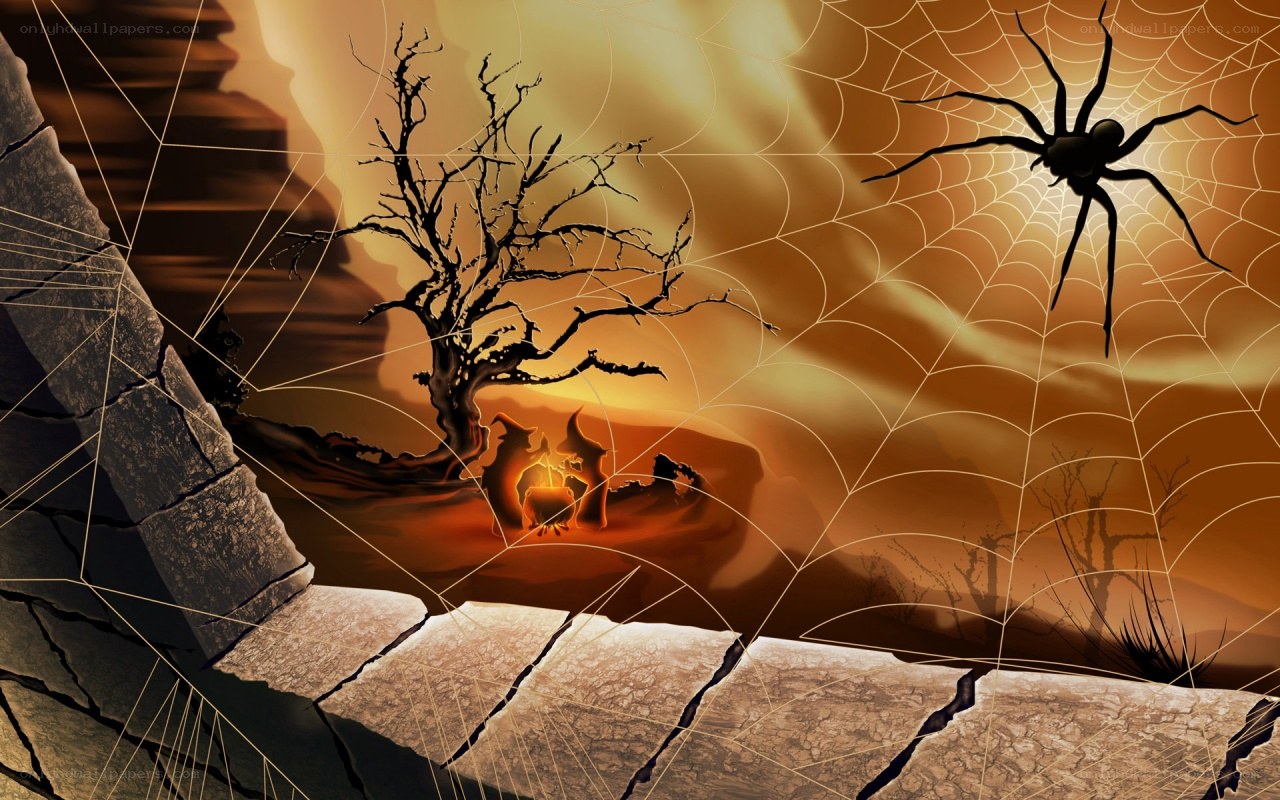 Halloween scene with spider web