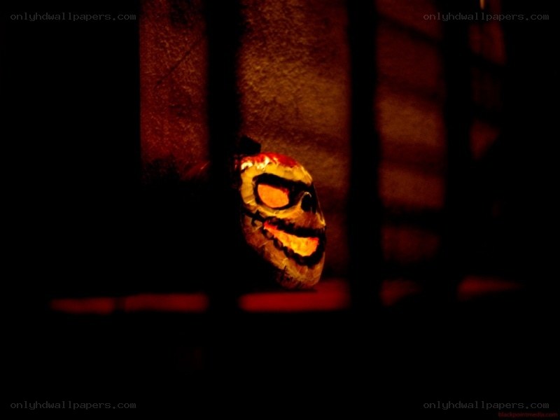 Halloween skull in dark room