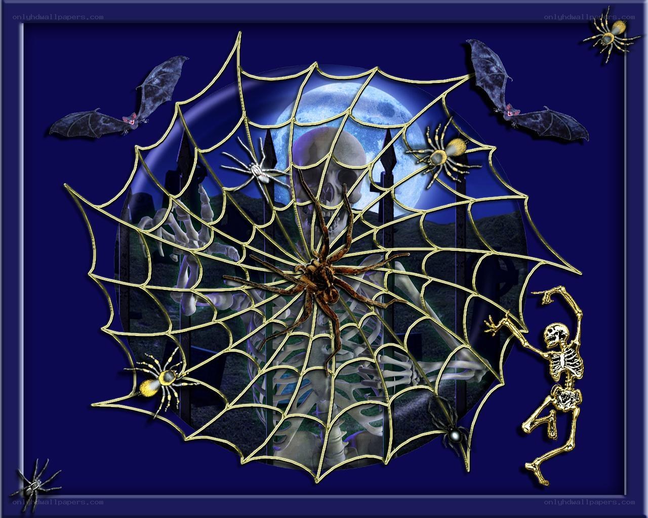 Halloween spider web scene