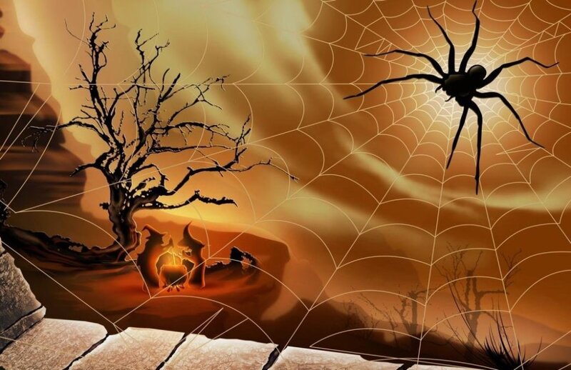 Halloween spider web scene