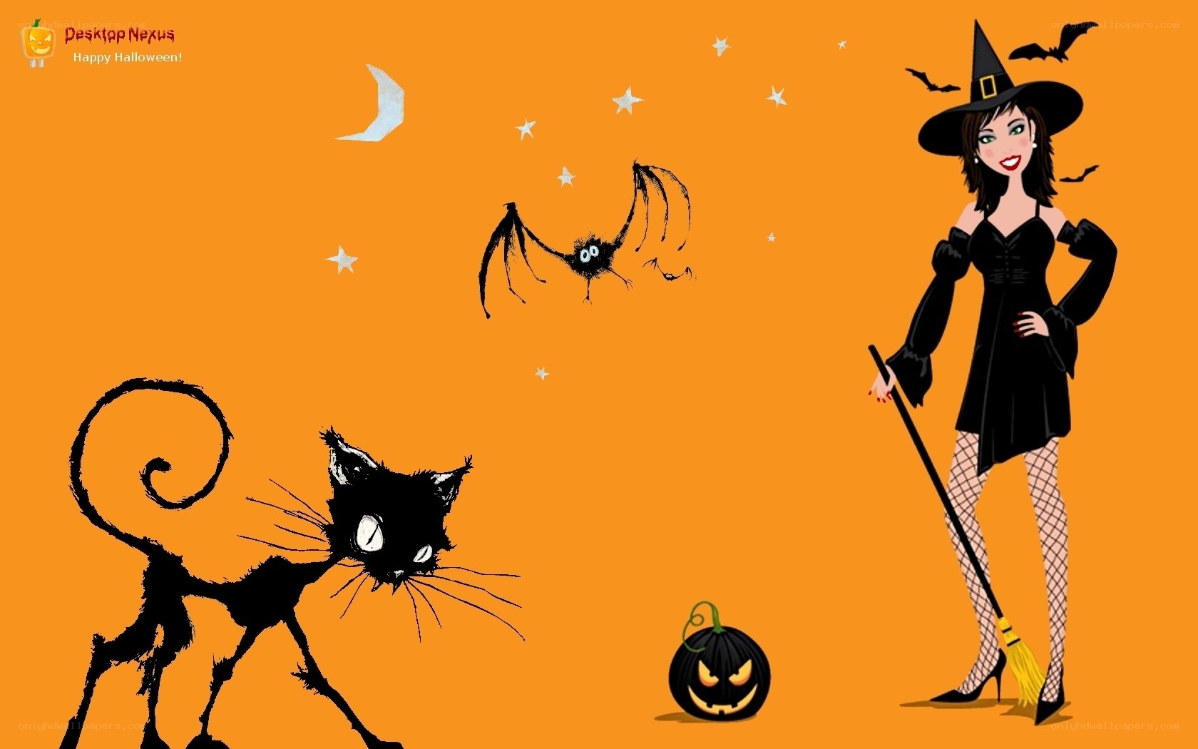 Halloween witch and cat