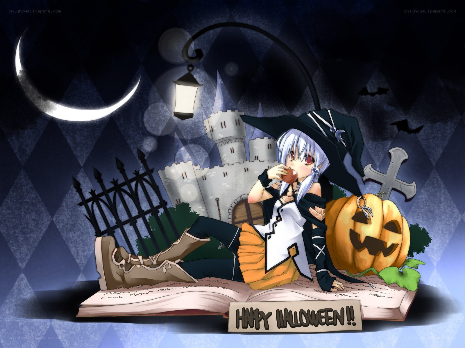 Halloween witch on a book