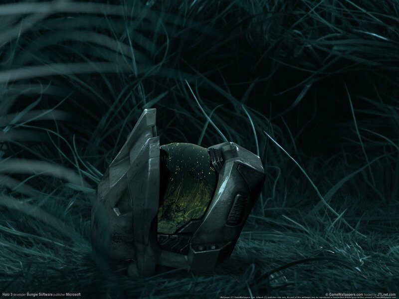 Halo 3 helmet in tall grass