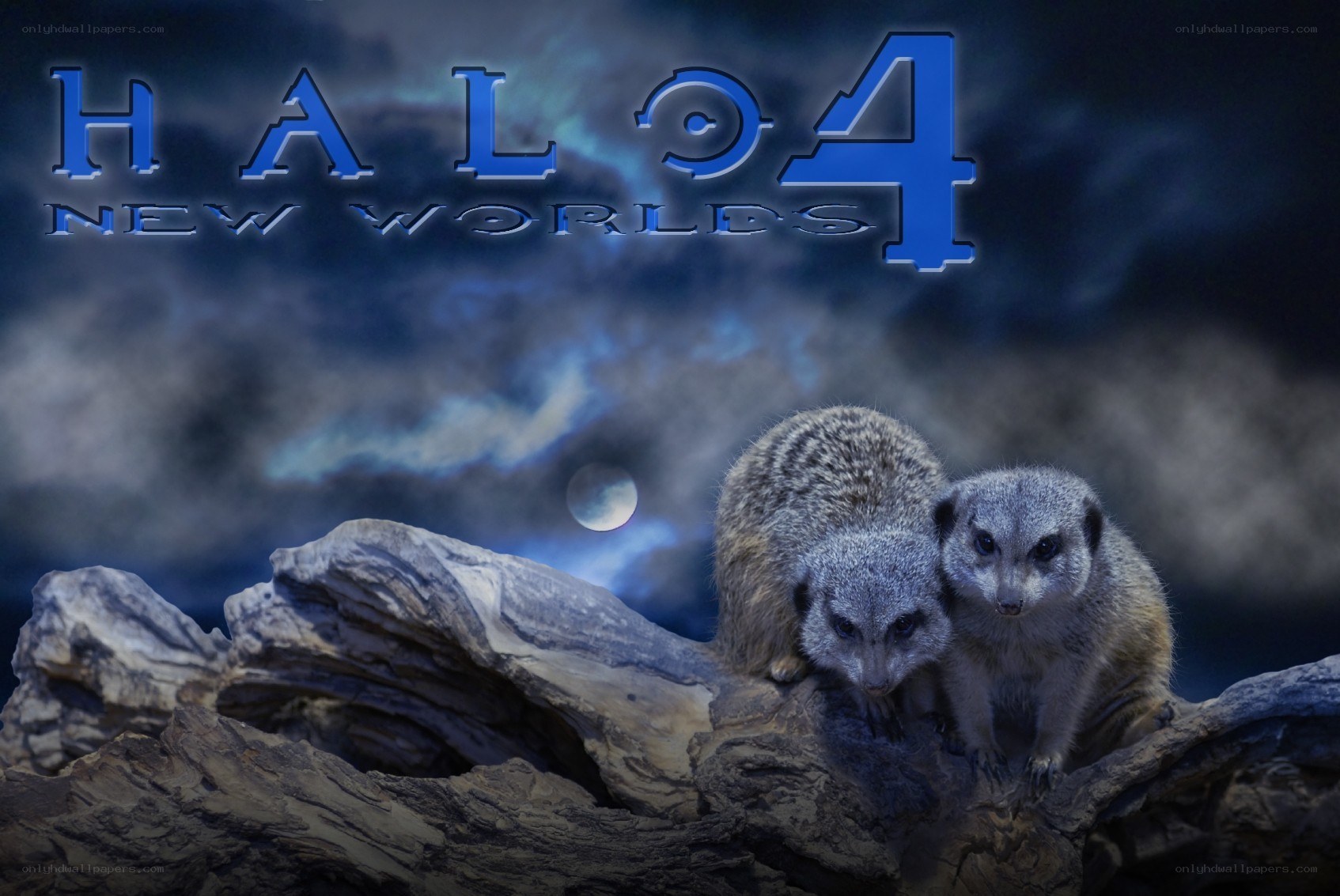 Halo 4 New Worlds meerkats