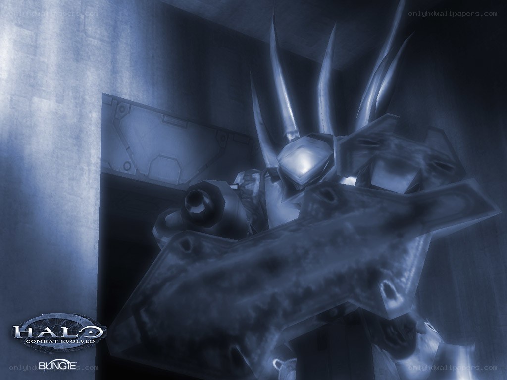 Halo Combat Evolved artwork