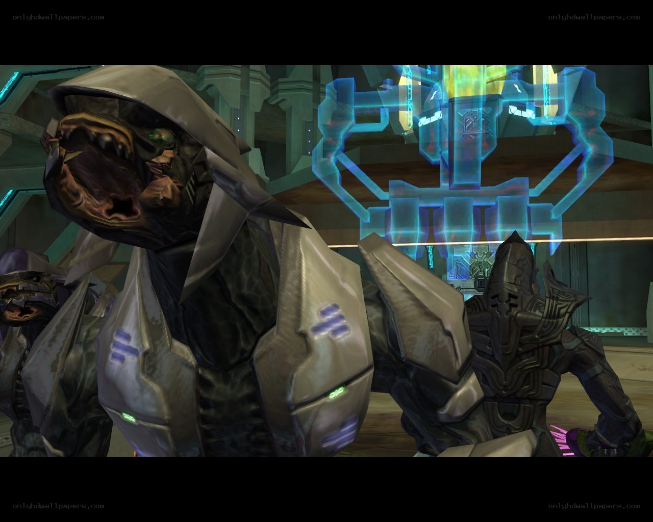 Halo: Combat scene