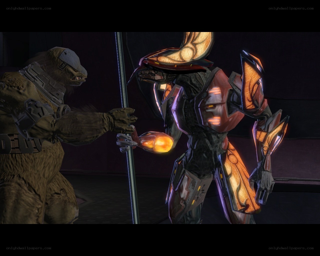 Halo combat scene