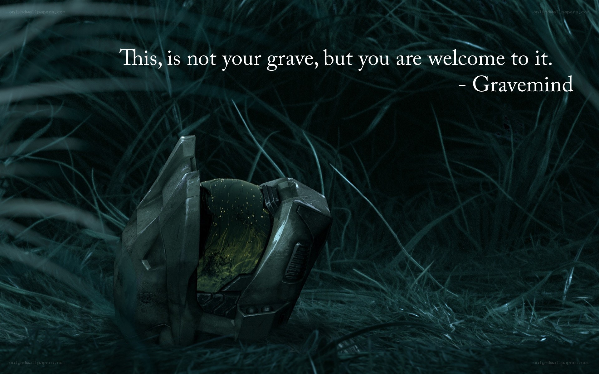 Halo helmet in grass
