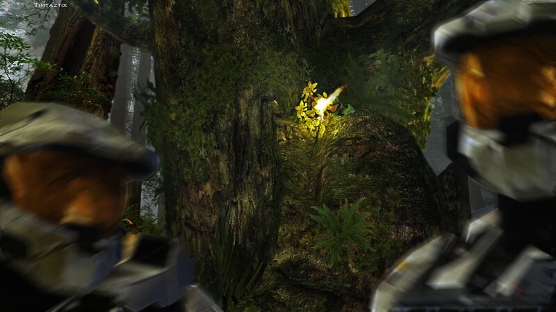 Halo soldiers in forest