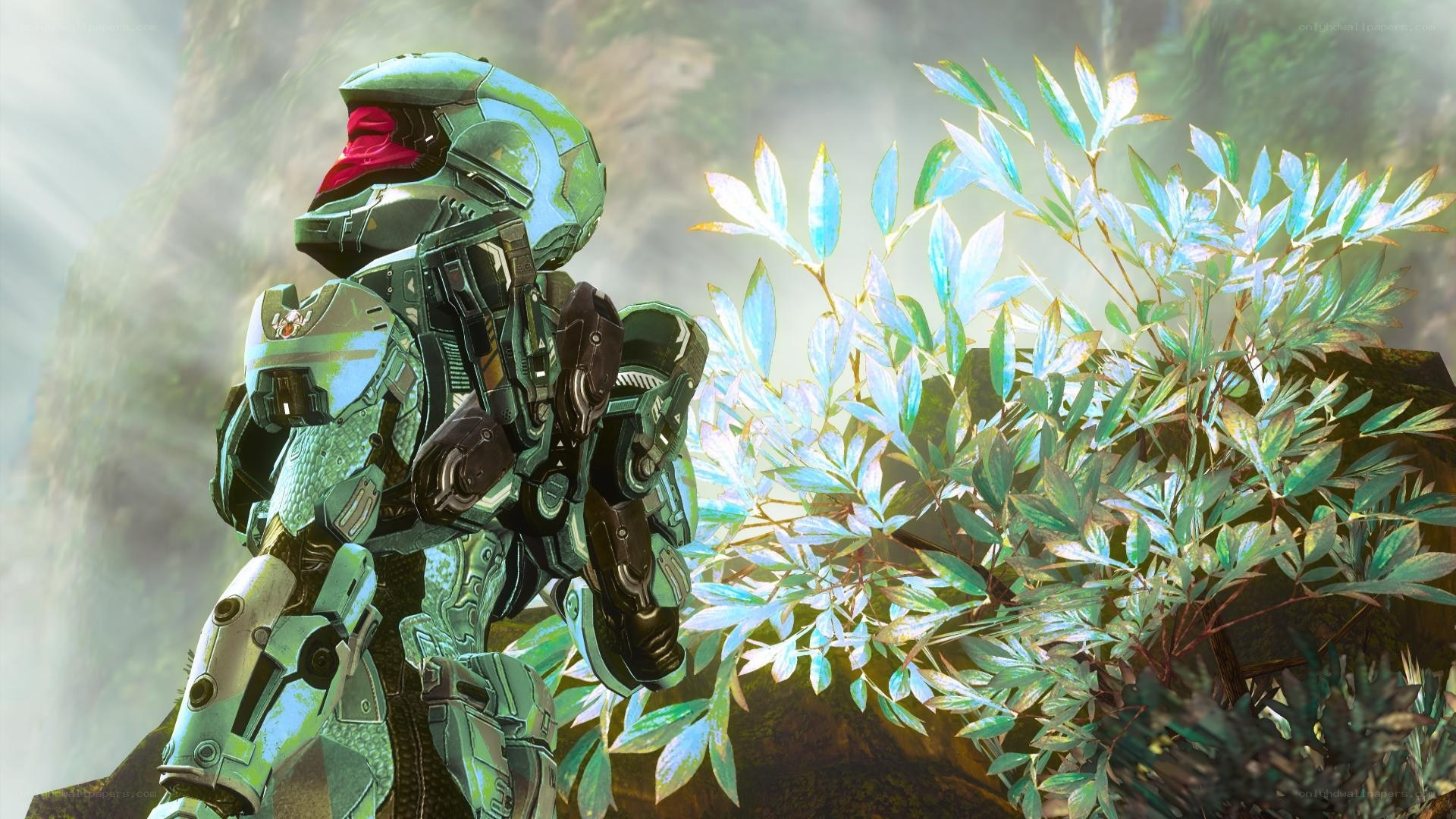 Halo Spartan in a forest