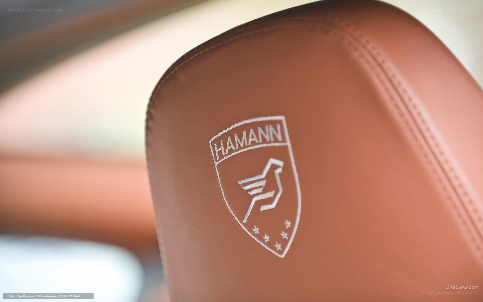 Hamann logo on car seat