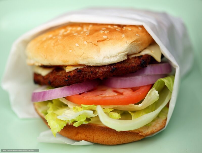 hamburger in a wrapper