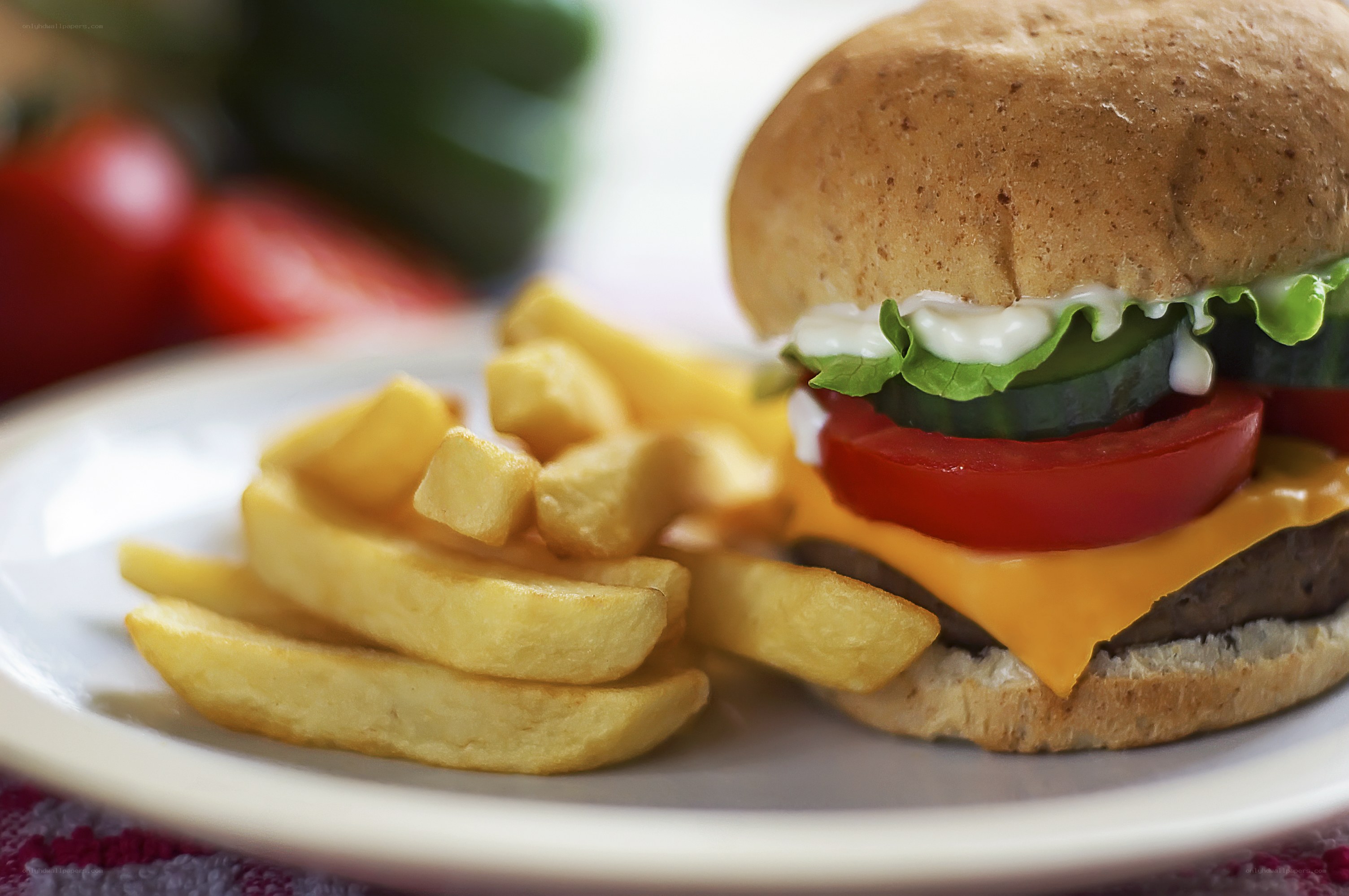 hamburger with fries on plate