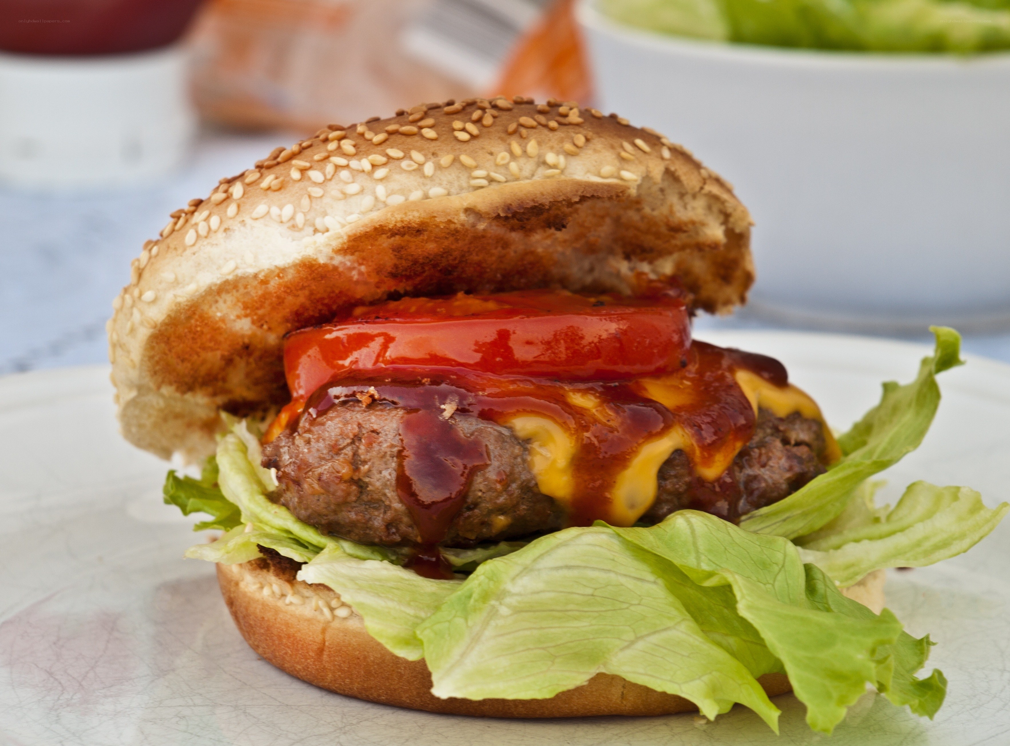 hamburger with ketchup and cheese