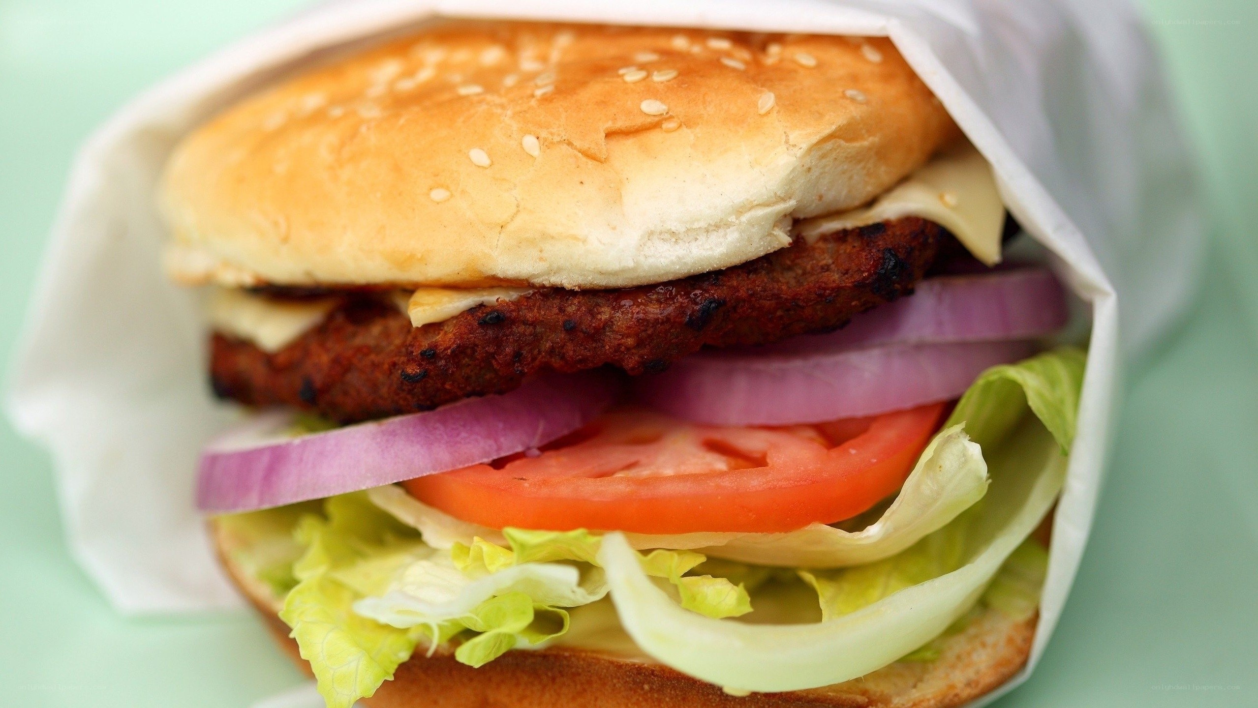 hamburger with lettuce and tomato