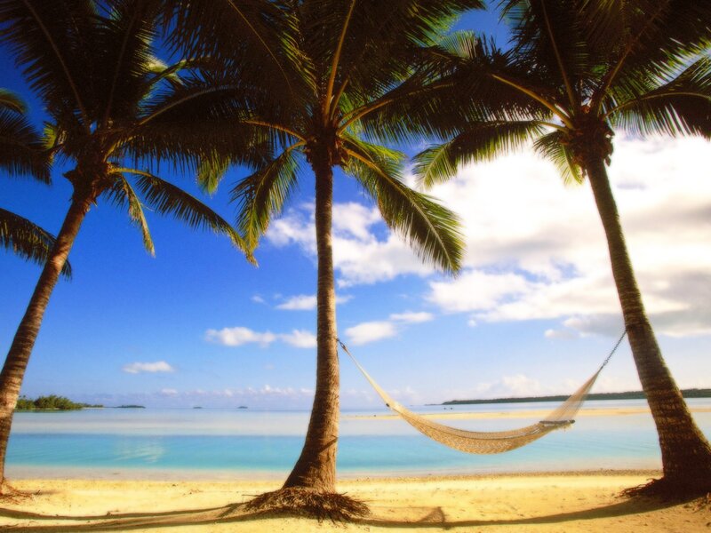 Hammock Between Palm Trees — Beach