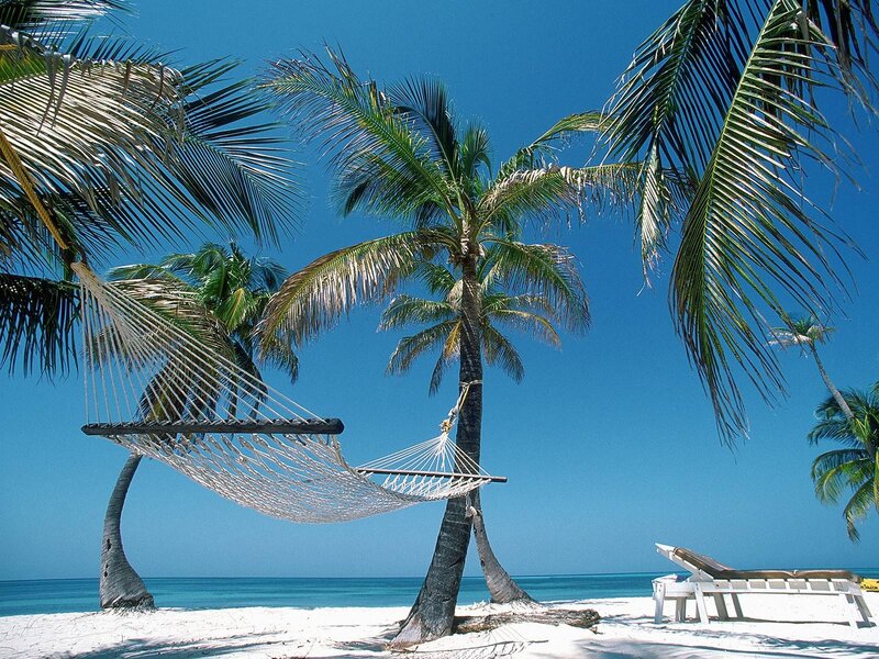 Hammock Between Palm Trees — Blue, Serene, Afternoon, Photograph, Palm Trees, Beach, Ocean, Lounge Chair